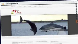 Publish Guest Post on easttimorpress.com