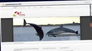 Publish Guest Post on easttimorpress.com