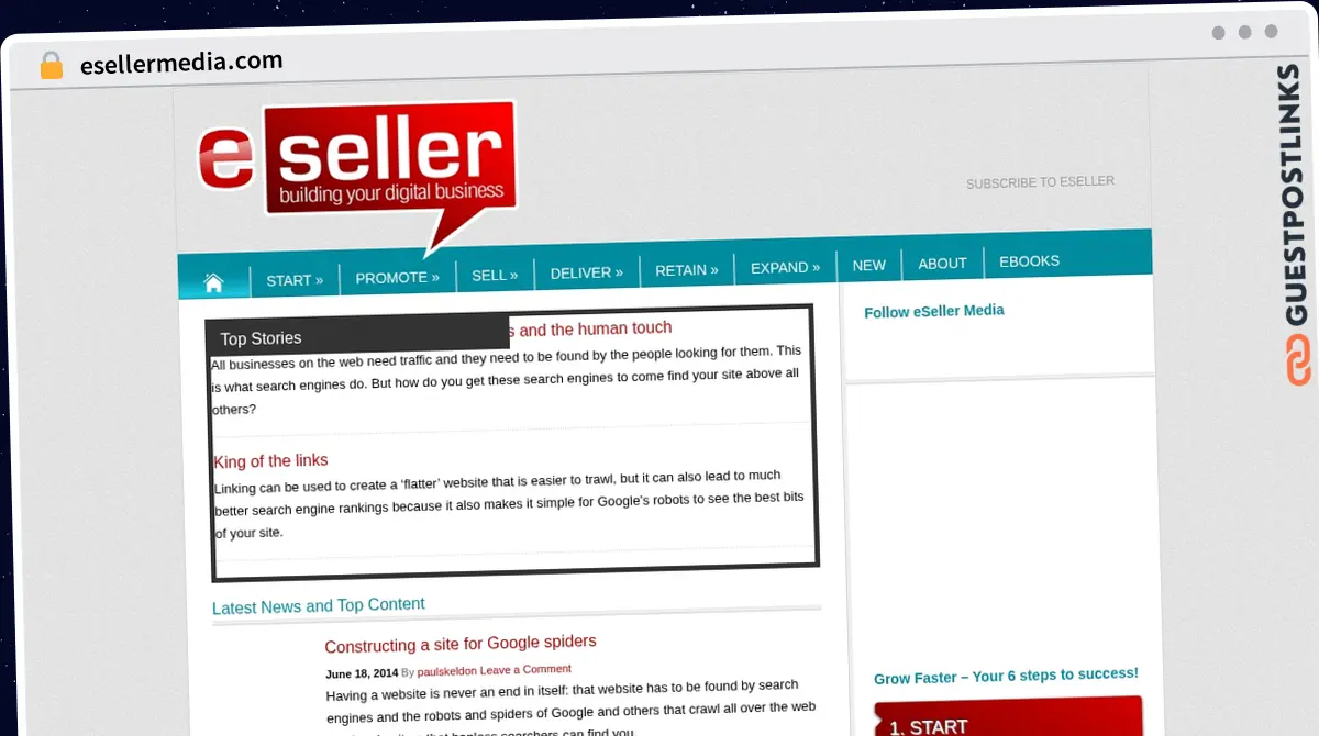 Publish Guest Post on esellermedia.com