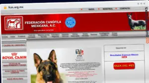 Publish Guest Post on fcm.org.mx