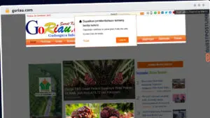 Publish Guest Post on goriau.com