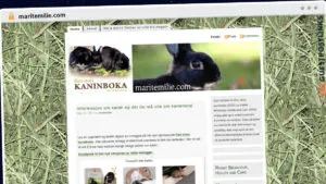 Publish Guest Post on maritemilie.com