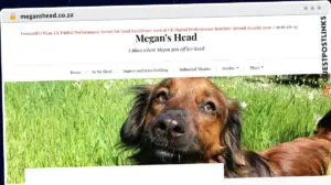 Publish Guest Post on meganshead.co.za