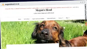 Publish Guest Post on meganshead.co.za