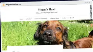 Publish Guest Post on meganshead.co.za