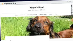 Publish Guest Post on meganshead.co.za
