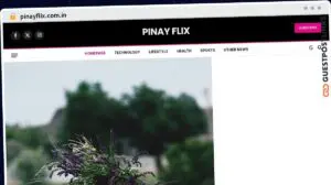 Publish Guest Post on pinayflix.com.in