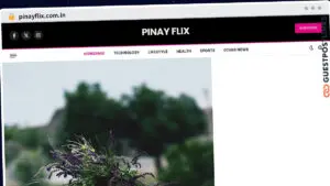 Publish Guest Post on pinayflix.com.in