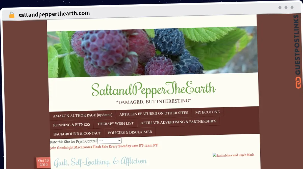 Publish Guest Post on saltandpepperthearth.com