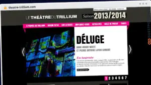 Publish Guest Post on theatre-trillium.com