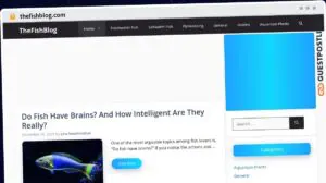Publish Guest Post on thefishblog.com