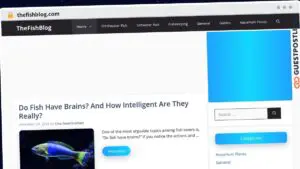 Publish Guest Post on thefishblog.com