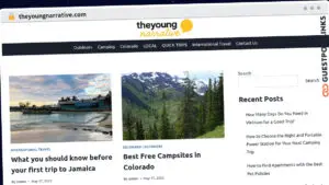 Publish Guest Post on theyoungnarrative.com