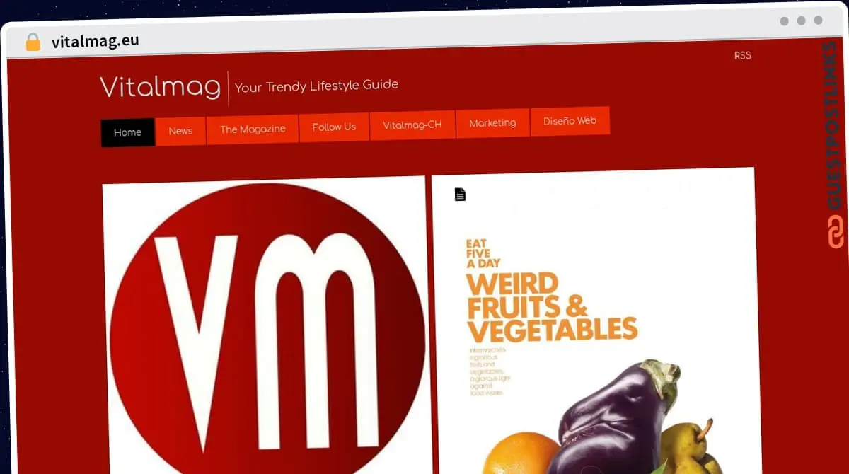 Publish Guest Post on vitalmag.eu