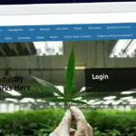 Publish Guest Post on x-cannabis.com