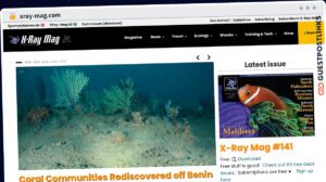 Publish Guest Post on xray-mag.com