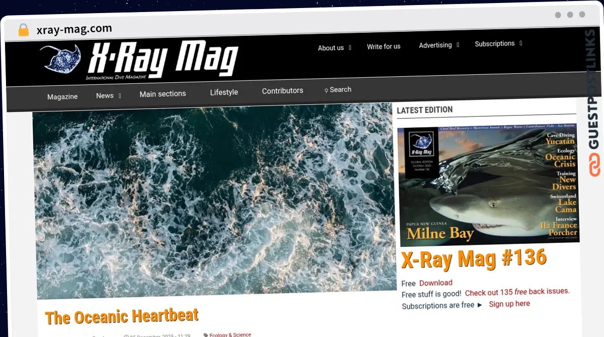 Publish Guest Post on xray-mag.com