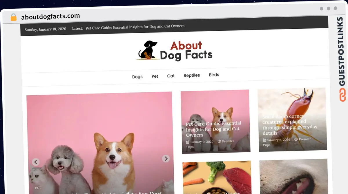 Publish Guest Post on aboutdogfacts.com