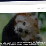 Publish Guest Post on animalsprout.com