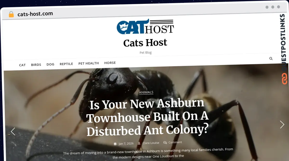 Publish Guest Post on cats-host.com