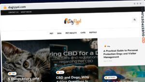 Publish Guest Post on dogryyol.com