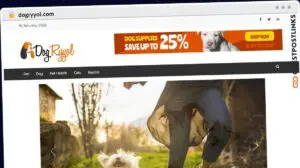 Publish Guest Post on dogryyol.com