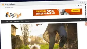 Publish Guest Post on dogryyol.com