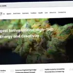 Publish Guest Post on flashflyermagazine.com