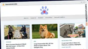 Publish Guest Post on lowcostvet.info