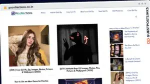 Publish Guest Post on pxcollections.co.in