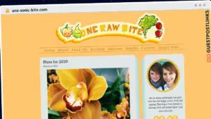 Publish Guest Post on one-sonic-bite.com
