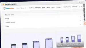 Publish Guest Post on punsberry.com