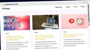 Publish Guest Post on punscorner.com