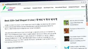Publish Guest Post on sadshayarizone.com