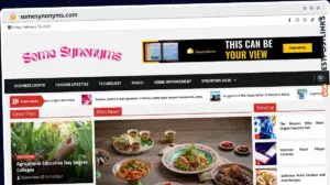 Publish Guest Post on somesynonyms.com