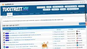 Publish Guest Post on tuoitreit.vn