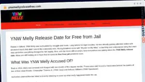 Publish Guest Post on ynwmellyreleasefree.com