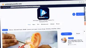 Publish Guest Post on animixplaymedia.com