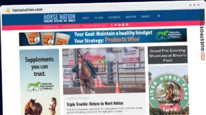 Publish Guest Post on horsenation.com