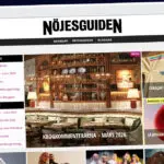 Publish Guest Post on ng.se
