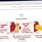 Publish Guest Post on punsverse.com