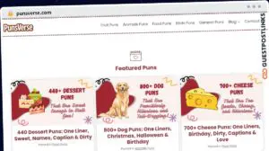 Publish Guest Post on punsverse.com