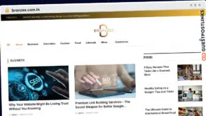 Publish Guest Post on bronzee.com.in