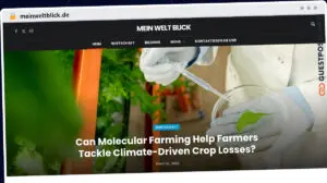 Publish Guest Post on meinweltblick.de