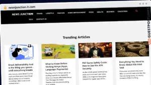 Publish Guest Post on newsjunction.it.com