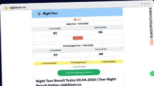 Publish Guest Post on nightteer.co