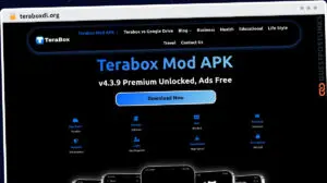 Publish Guest Post on teraboxdl.org
