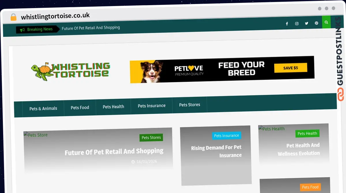 Publish Guest Post on whistlingtortoise.co.uk