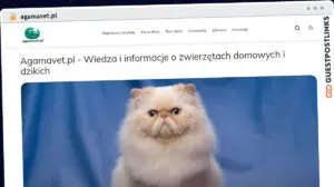Publish Guest Post on agamavet.pl