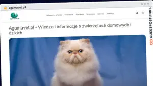 Publish Guest Post on agamavet.pl